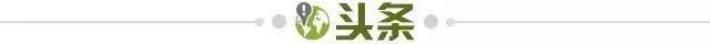 【早报】33岁凯恩加冕金球奖！亚马尔科帕奖三连庄！